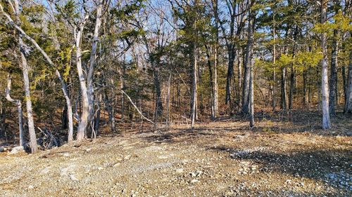 000 Lot 95 Summer Breeze, Kimberling City, MO, 65686 | Card Image