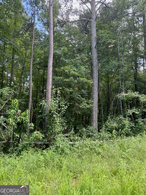 0 Cherokee Ln, Buchanan, GA, 30113 | Card Image