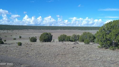 7 N Cr 8171, Concho, AZ, 85924 | Card Image