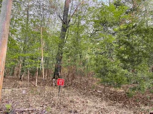 49 Mc 7002, Flippin, AR, 72634 | Card Image