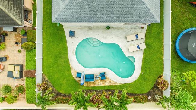 Backyard space | Image 37