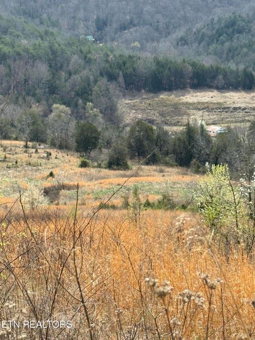 00 Cantwell Valley Rd, Sneedville, TN, 37869 | Card Image