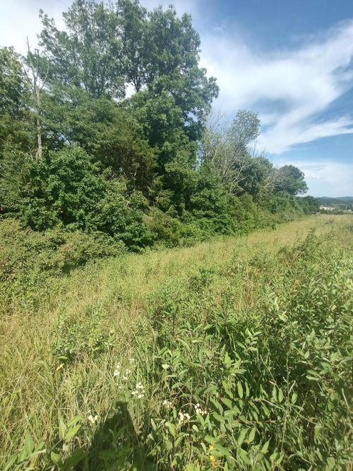 4 Frasure Ln, Mount Sterling, KY, 40353 | Card Image