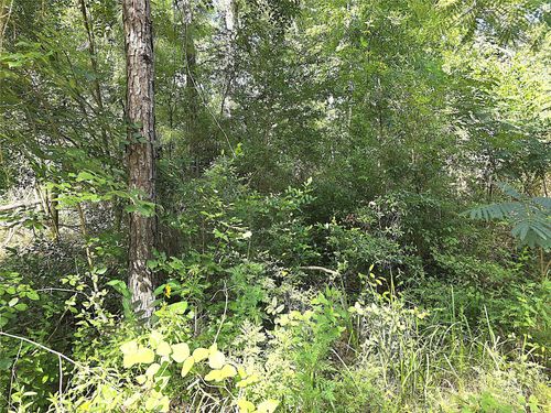 TBD Newberry Dr, Livingston, TX, 77351 | Card Image