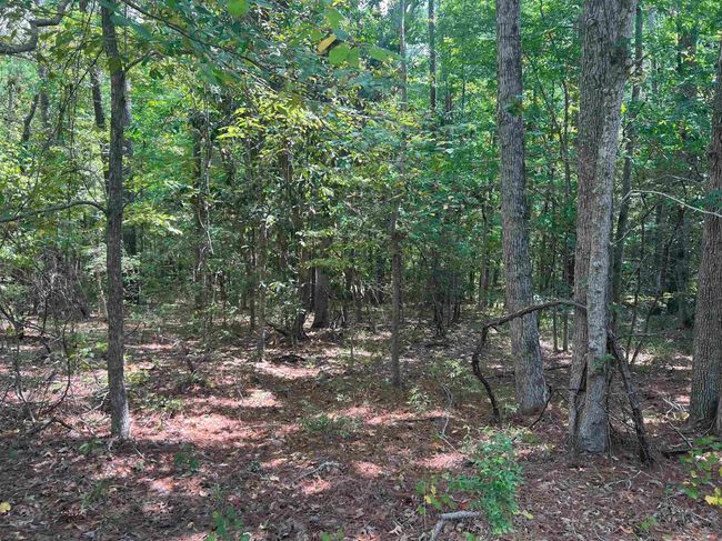 LOT-57 - 57 Shank Dr, Home with 0 bedrooms, 0 bathrooms and null parking in Brookeland TX | Image 4