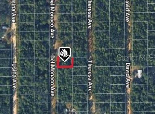 920 Del Monaco Ave, Interlachen, FL, 32148-2587 | Card Image