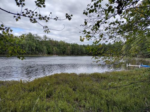 8986 Sandy Ct, MINOCQUA, WI, 54548-9584 | Card Image