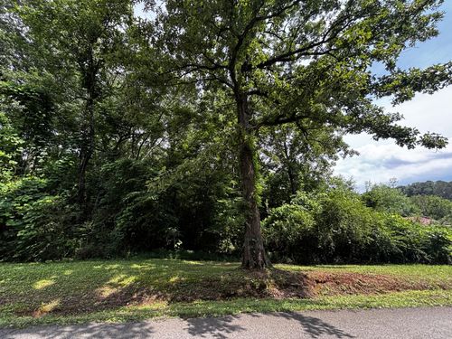 0 Kendall Ave, Bridgeport, AL, 35740 | Card Image