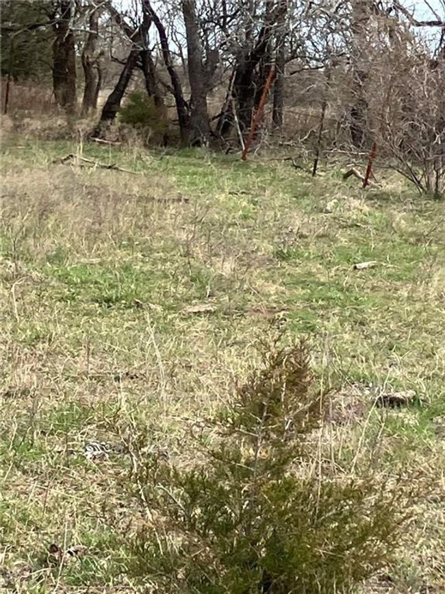 View of nature | Image 16