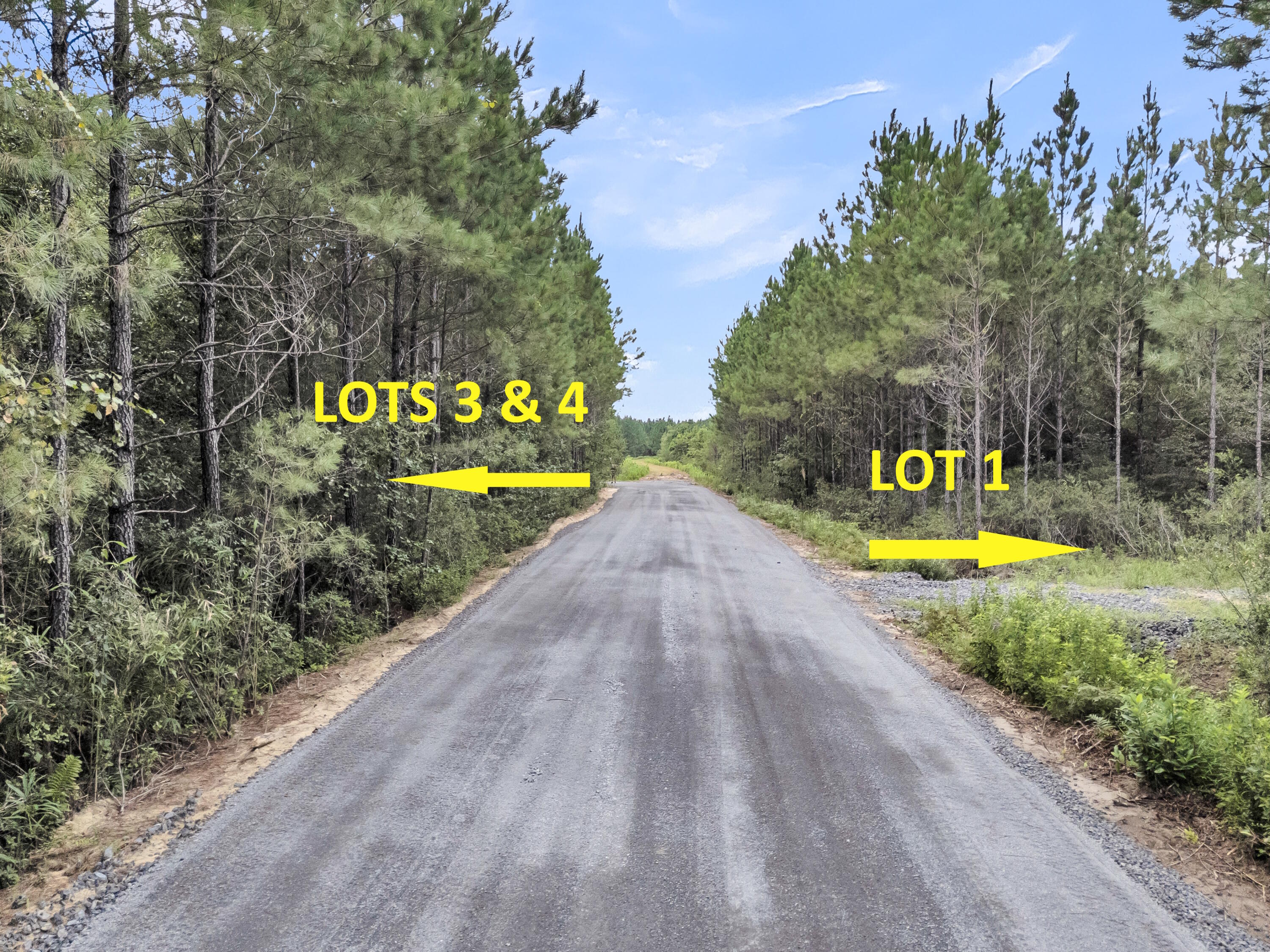 Land in McClellanville 4