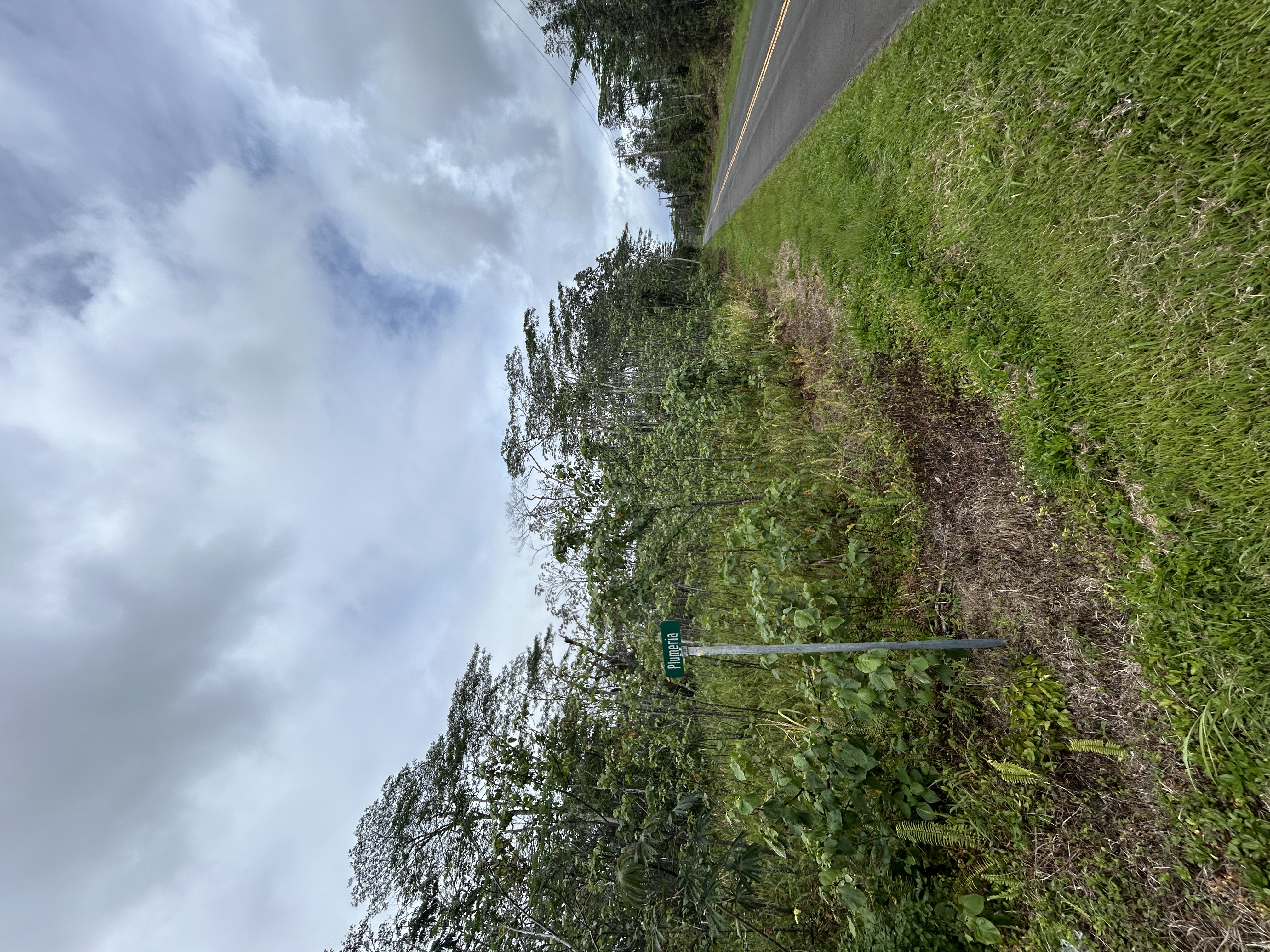 Land in Pahoa 5