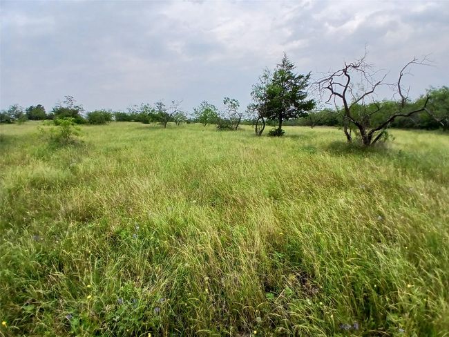 8112 Fm 2114, Home with 0 bedrooms, 0 bathrooms and null parking in Hubbard TX | Image 15