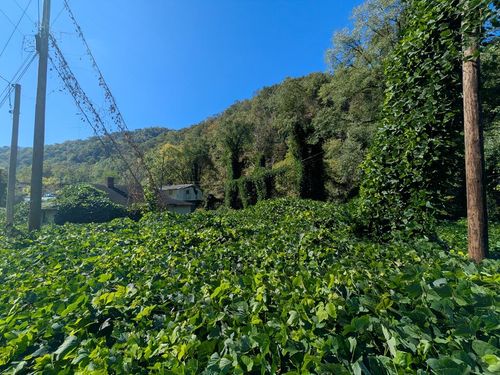 TBD Riverside Dr, Grundy, VA, 24614 | Card Image