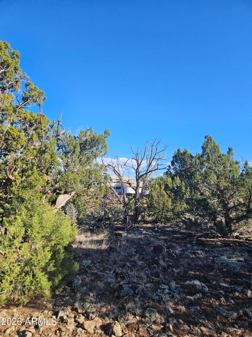 --1856 Rainbow Cir, Show Low, AZ, 85901-7044 | Card Image