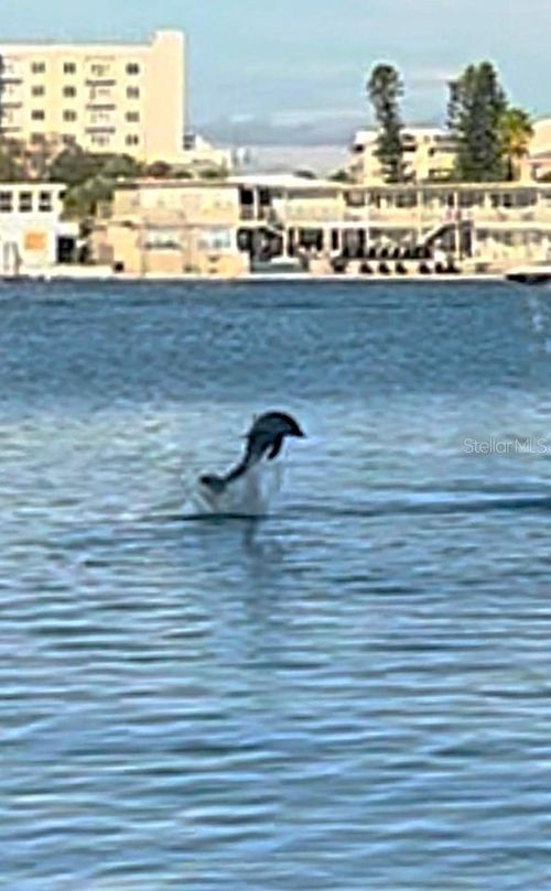 apt-101-644 Island Way, CLEARWATER, FL, 33767-1906 | Card Image