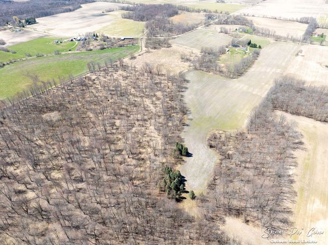 3796 Hoyt Rd, Home with 0 bedrooms, 0 bathrooms and null parking in Belding MI | Image 8