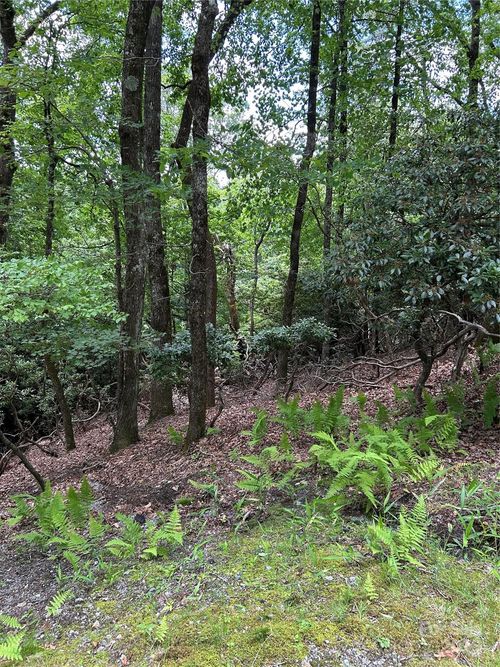uo2l406-TBD Connestee Trail, Brevard, NC, 28712 | Card Image