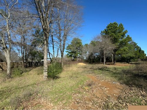 Lot 7 Berrycreek Cir, Frankston, TX, 75763 | Card Image