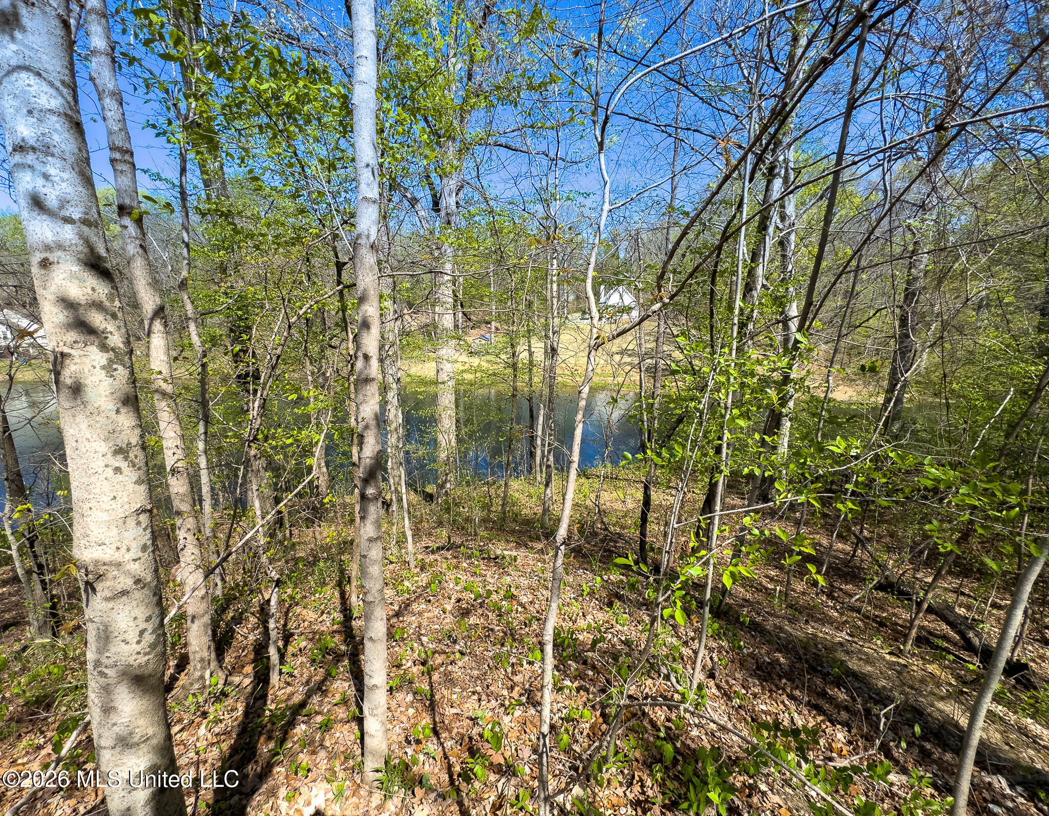 Land in Hernando 4
