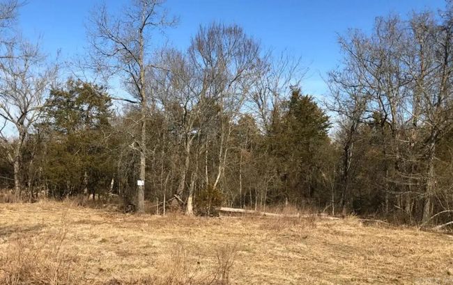 000 Cedar Ln, Home with 0 bedrooms, 0 bathrooms and null parking in Lead Hill AR | Image 28