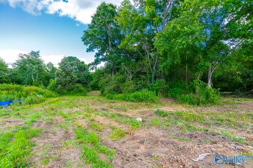 1641 Scott Road, Hazel Green, AL, 35750 | Card Image