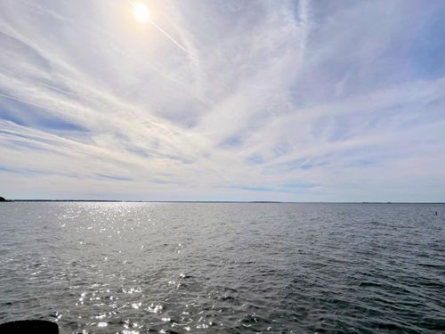 105 Mourning Dove Dr, Bonneau, SC, 29431-8524 | Card Image