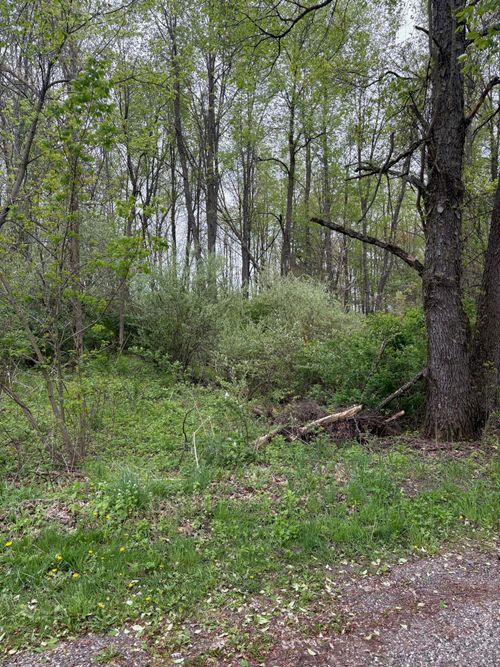 V/L W Quimby Road, Hastings, MI, 49058 | Card Image