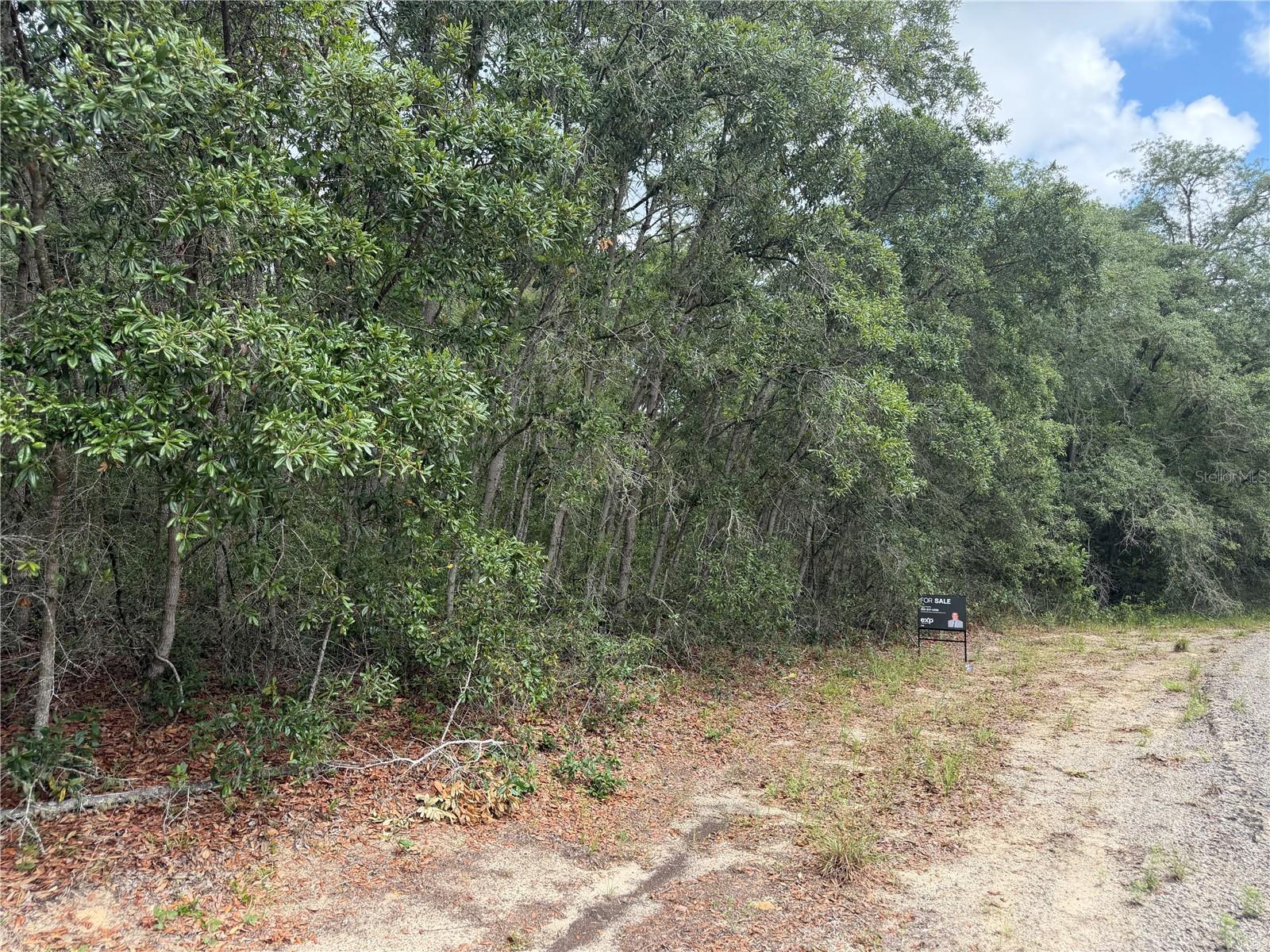 Land in DUNNELLON 2