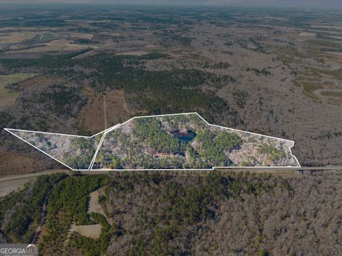 22701 S Highway 129, Cobbtown, GA, 30420 | Card Image