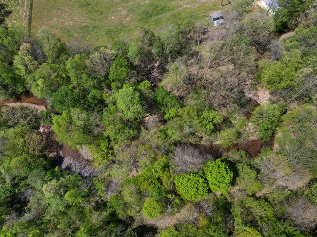 2631 Old Weatherford Creek Rd, Home with 0 bedrooms, 0 bathrooms and null parking in Lutts TN | Image 27