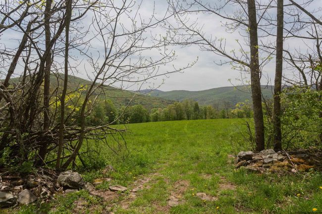 14 - 1214 Armstrong Rd, House other with 7 bedrooms, 4 bathrooms and null parking in Arkville NY | Image 25