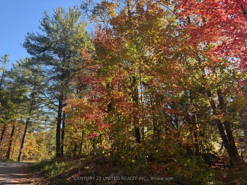 N/A Twin Sister Lakes Road, Marmora and Lake, ON, K0K2M0 | Card Image