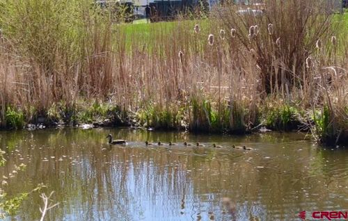 10200 W Highway 160, Pagosa Springs, CO, 81147-5898 | Card Image