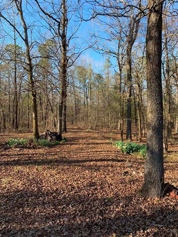 Land in Broken Bow 2