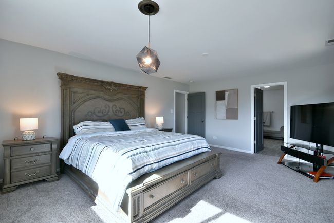20224 Overland Trl, House other with 5 bedrooms, 5 bathrooms and 3 parking in Olympia Fields IL | Image 19