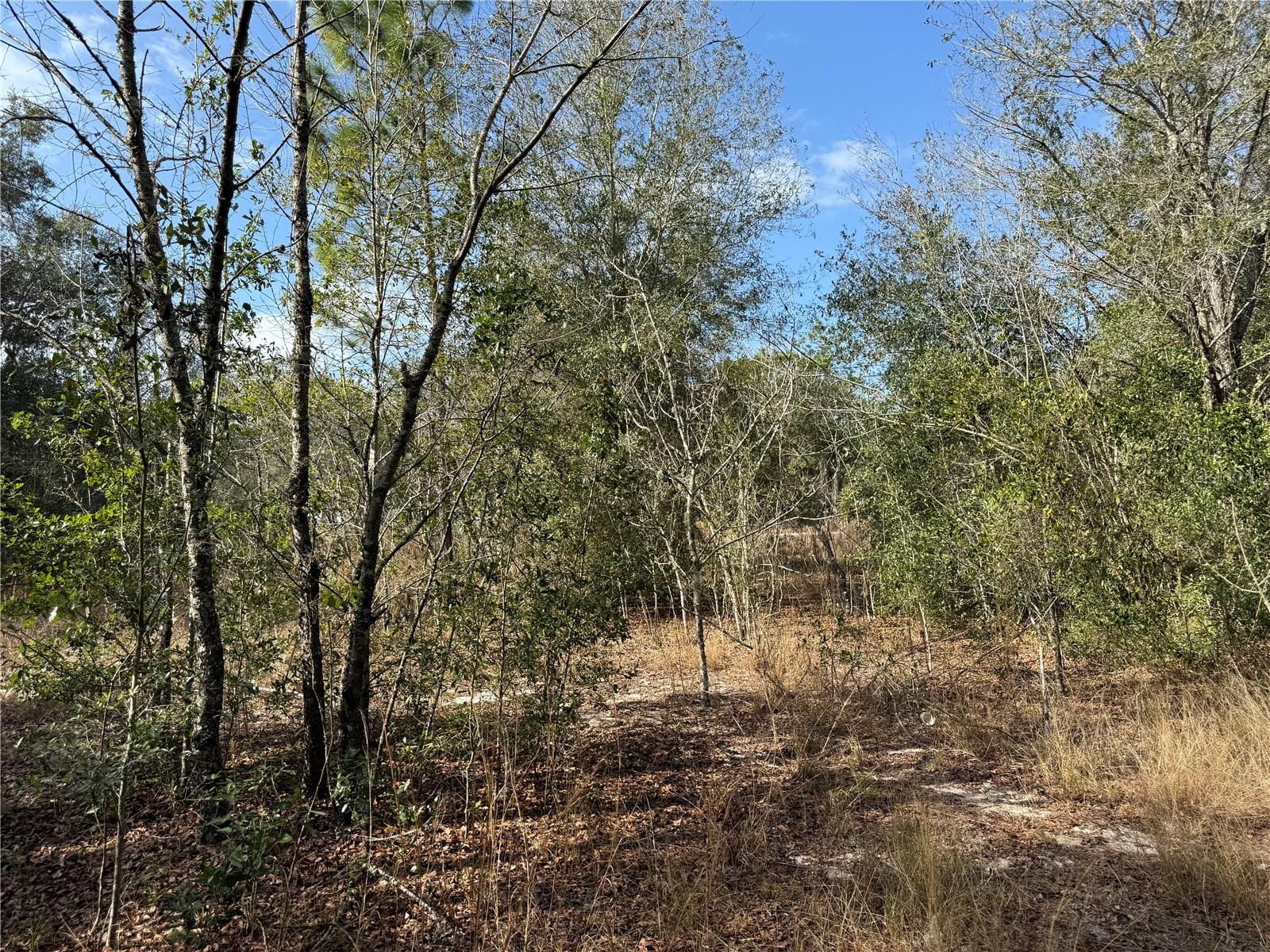 Land in BELLEVIEW 3
