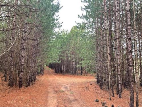 XXX Hay Creek Rd, GRANTSBURG, WI, 54840 | Card Image