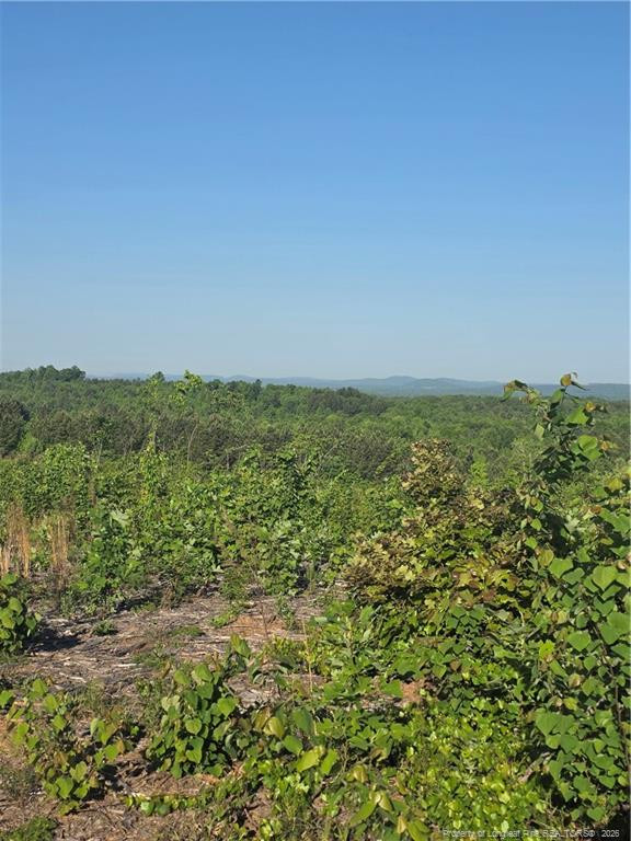 Land in Asheboro 4