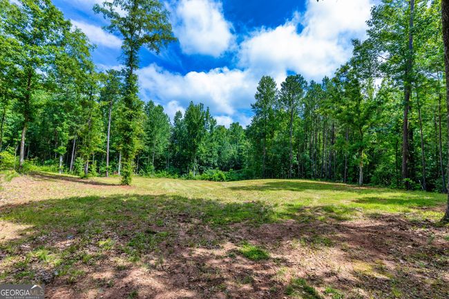 0 John Lovelace Rd, Home with 0 bedrooms, 0 bathrooms and null parking in LAGRANGE GA | Image 23