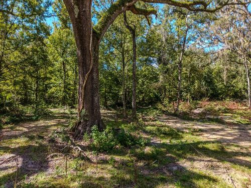 1363 Ne 673rd St, OLD TOWN, FL, 32680 | Card Image