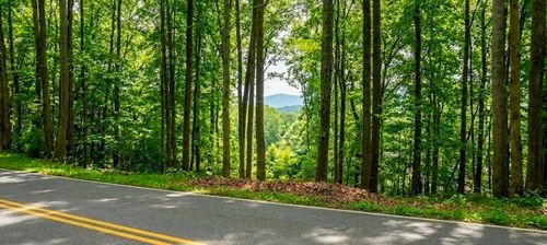 0 Carlton Rd, Bristol, TN, 37620 | Card Image