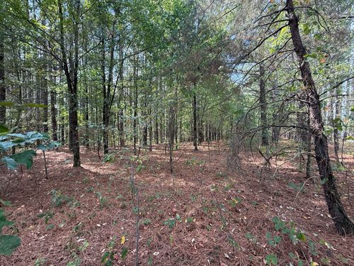 145 Brier Hill Rd, Ethridge, TN, 38456-5204 | Card Image