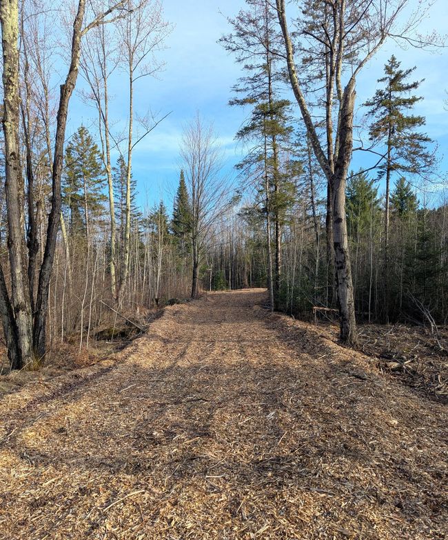 00 Cth X, Home with 0 bedrooms, 0 bathrooms and null parking in PRENTICE WI | Image 16