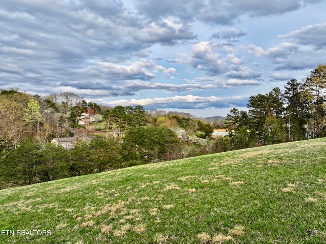 110 Tumbleweed Trl, Home with 0 bedrooms, 0 bathrooms and null parking in Rutledge TN | Image 7