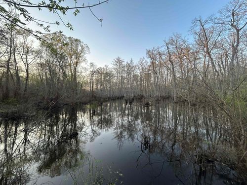 0 Highway 64, Bolivar, TN, 38008 | Card Image