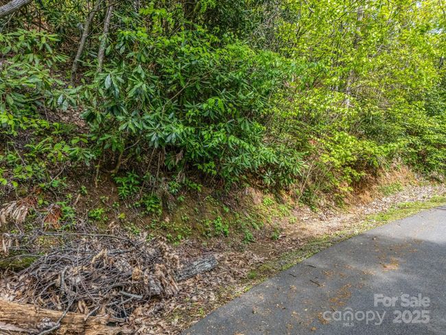 8 White Birch Ct, Home with 0 bedrooms, 0 bathrooms and null parking in Black Mountain NC | Image 18
