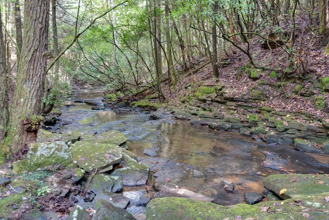 The hiking trails in Deer Lick Falls are beautiful | Image 31