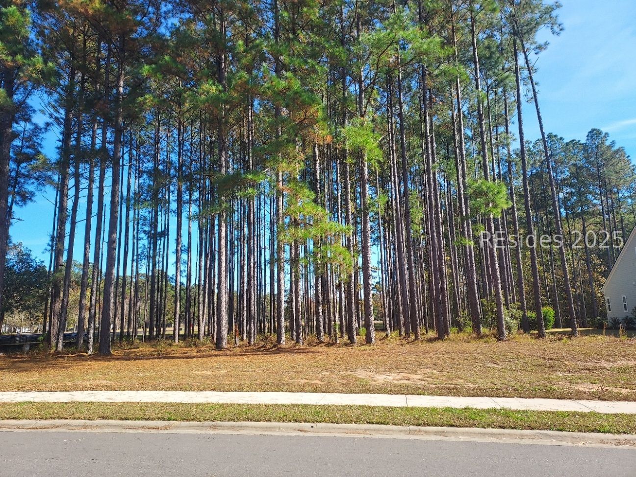 Land in Hardeeville 5