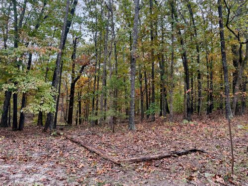000 Spout Spring Rd, Fordland, MO, 65652 | Card Image