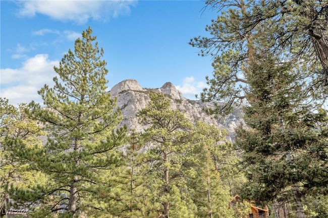 2194 Via Spes Nostra St, Home with 0 bedrooms, 0 bathrooms and null parking in Mount Charleston NV | Image 23